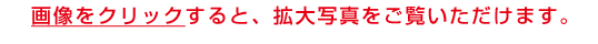 �摜���N���b�N����ƁA�g��ʐ^�����������܂��B