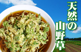 立ち食いそば へぎそば