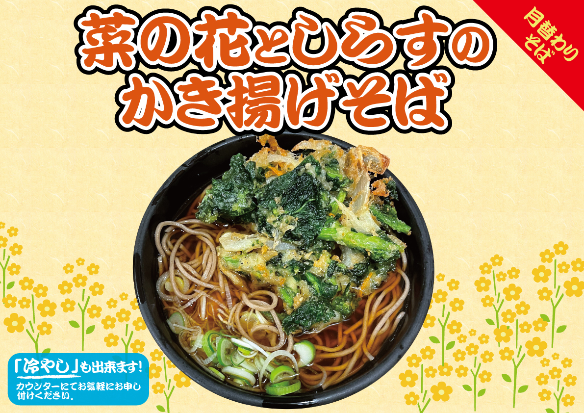 菜の花としらすのかき揚げそば