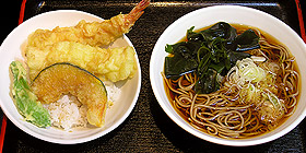 TENDON SET with SOBA650